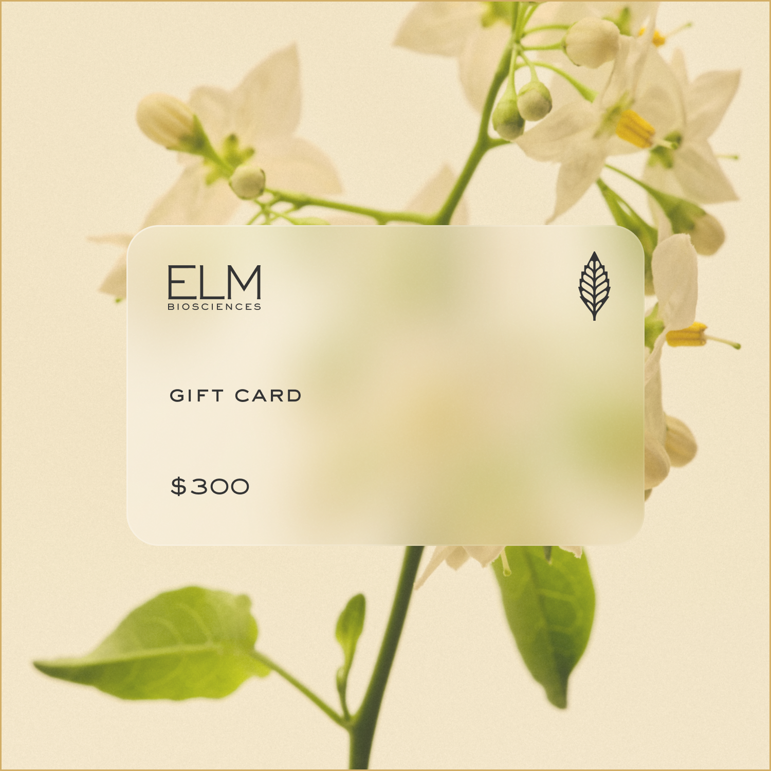 Elm Gift Card
