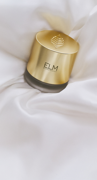 Alt text not provided for this image