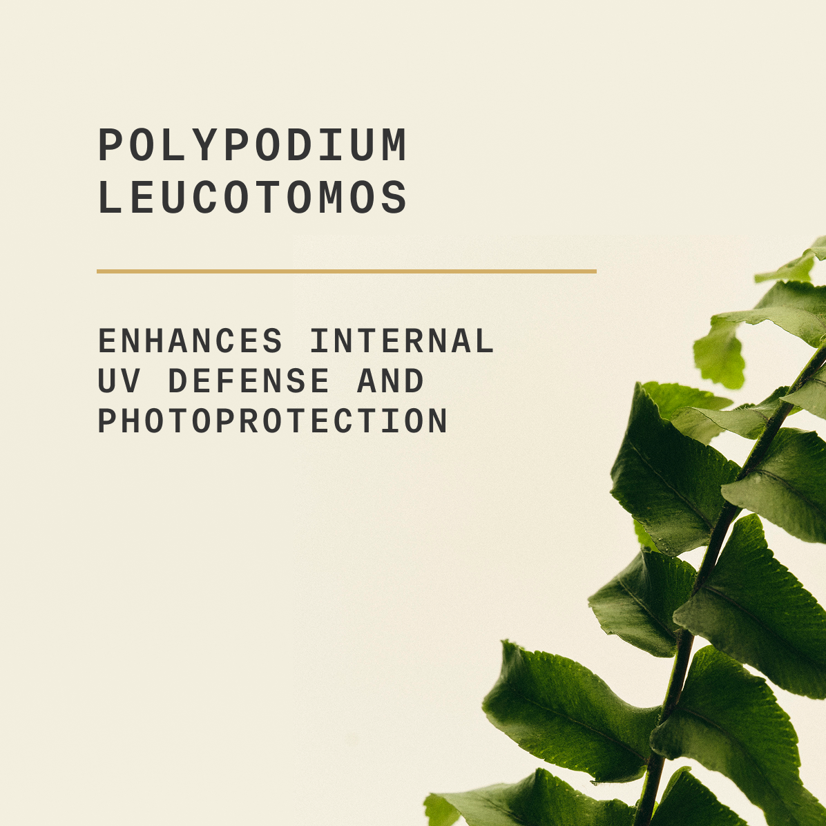 Inner Dose™ Daily Skin Supplement Starter Kit